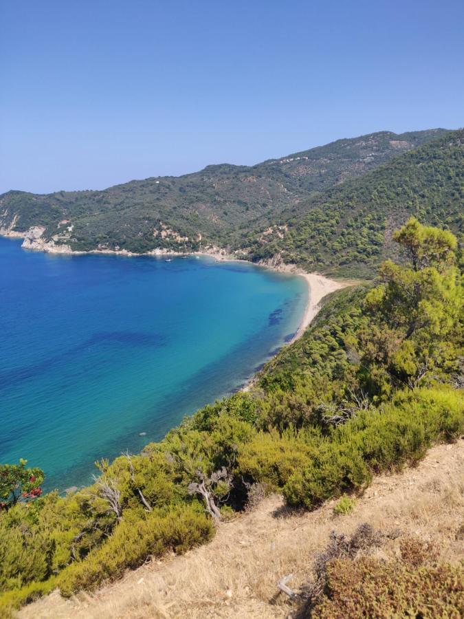 Taxiarchis Apartments Skiathos Exterior photo