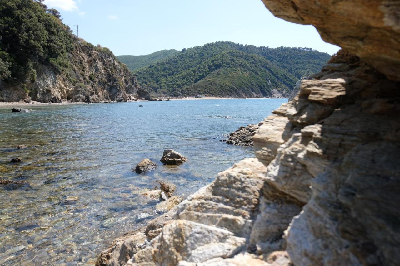 Taxiarchis Apartments Skiathos Exterior photo
